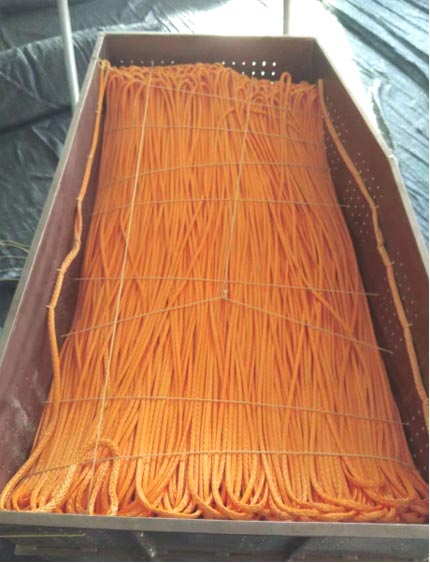 蛟龍號特種繩纜 蛟龍號特種繩纜