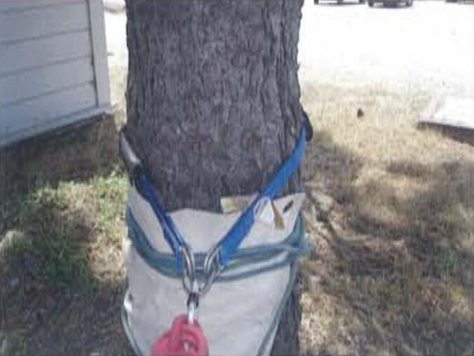 繩索救援錨點設(shè)置方案